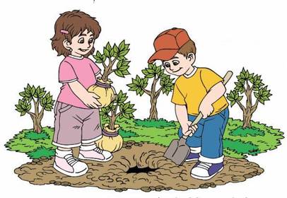 to plant a tree