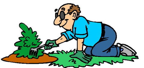 to weed a flower bed