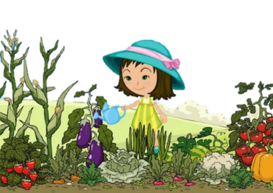 a kitchen garden