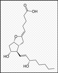 Prostacyclin (PGI2)
