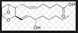 Thromboxan A2 (TXA2)