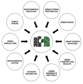 What is ecology?