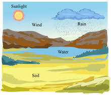 What is abiotic factors?