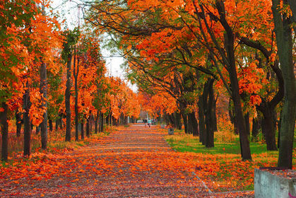 Autumn