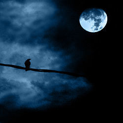 Noche