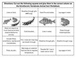 What is ectothermic?