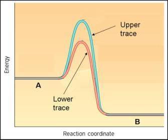 What is endothermic?