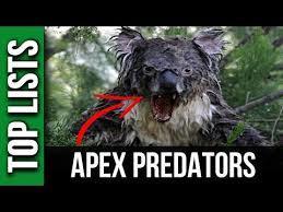 What is an Apex predator?