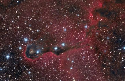 LA NEBULOSA TROMPA DE ELEFANTE