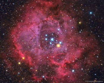 NEBULOSA ROSETA