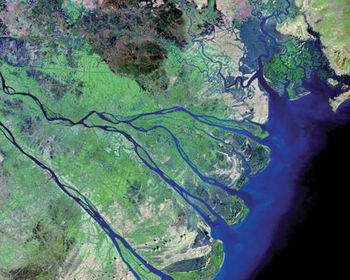 Delta Old stage Mouth Distributaries Deposition Esturine, Arcuate, Bird's Foot R. Nile