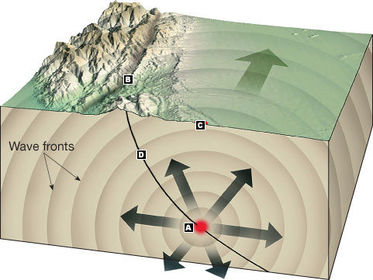 Plates collide/slip past each other Release of energy (tremors) (A)Focus; Point of contact (C)Epicenter; On surface directly above focus....