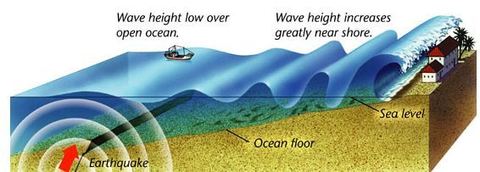 Tsunami Earthquake out at sea. Large wave made by tremors. Very destructive Japan 2011 Eurasian/Pacific plates collide Gets taller near s...