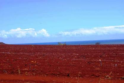 Red soil is formed from old metamorphic rocks.