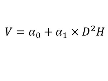 Modelo de cubicación en pie Variable Combinada