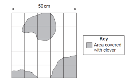 The diagram shows one of the quad rats the students used. Estimate the number of squares of the quad rat covered with clover. [1 Mark]