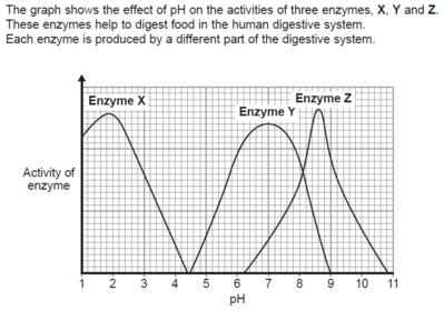 Which enzyme, X, Y or Z, will work best in the human stomach? [1 Mark]