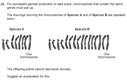 any two from:  offspring contain 3 copies of each gene / of each chromosome / odd number of each of the chromosomes  some chromosomes u...