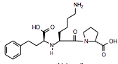 ACE inhibitor