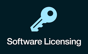 Software Licensing