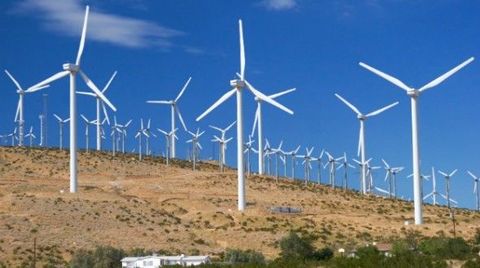 generate The wind farm generates enough electricity for the whole town.