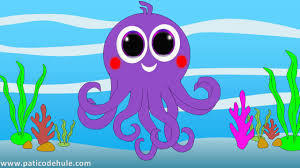 PULPO
