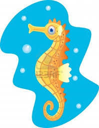 CABALLITO DE MAR