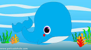 BALLENA