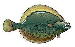 RODABALLO
