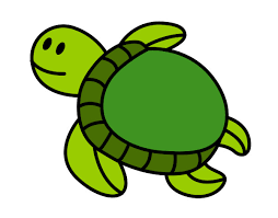 TORTUGA DE MAR