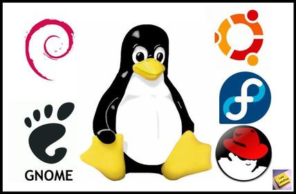 El sistema operativo libre, es un tipo de software que le permite al usuario: a) Estudiar su estructura p, funcionamiento y adaptar a sus...