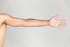 arm (-ing, -ed) (àaRm)