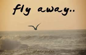 away (awèi) (auèi)