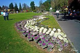 Las instalaciones incluyen bellos jardines rodeados de flores; un área especial para campamentos, restaurante y amplios espacios para and...