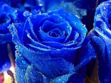 Blue