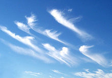 Cirrus clouds High altitude Brush strokes Dary, settled weather