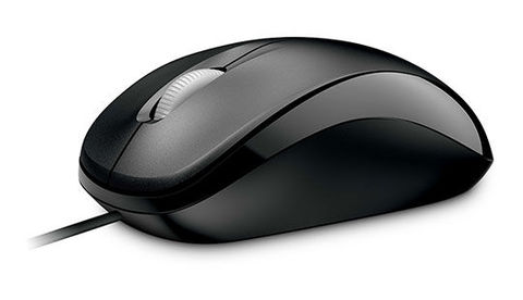 WHAT IS IT? IT IS A MOUSE.