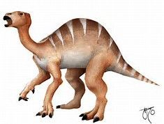 IGUANODON