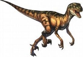 VELOCIRAPTOR