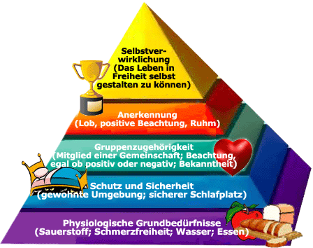 3.1 Begriff und Bedeutung von Motivation