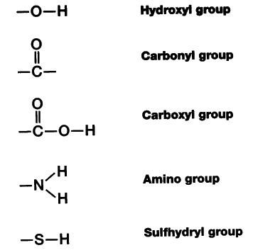 The Carbon Chemistry of Life