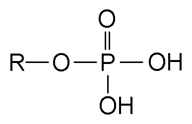 The Carbon Chemistry of Life