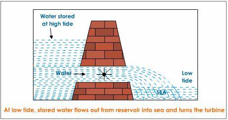 Forms of Electricity (Solar, Geothermal, Fracking, Wind, Tidal, Hydroelectric)