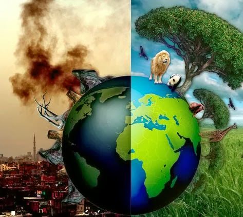 Apuntes Goconqr en equipo-unidad III de la antología:El medio ambiente urbano.