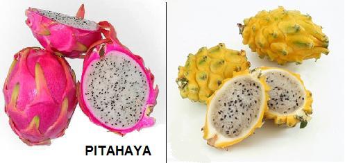 GRUPO ALFA: FRUTAS DULCES.