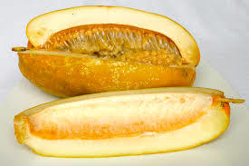 GAMMA- FRUTA SEMIÁCIDAS-EDNA ROCIO SALAZAR ANDRADE
