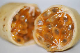 GAMMA- FRUTA SEMIÁCIDAS-EDNA ROCIO SALAZAR ANDRADE