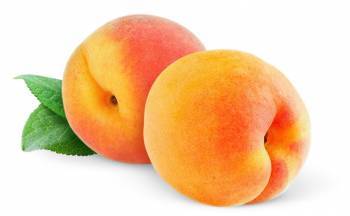 GAMMA- FRUTA SEMIÁCIDAS-EDNA ROCIO SALAZAR ANDRADE