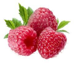 GAMMA- FRUTA SEMIÁCIDAS-EDNA ROCIO SALAZAR ANDRADE