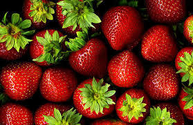 GAMMA- FRUTA SEMIÁCIDAS-EDNA ROCIO SALAZAR ANDRADE